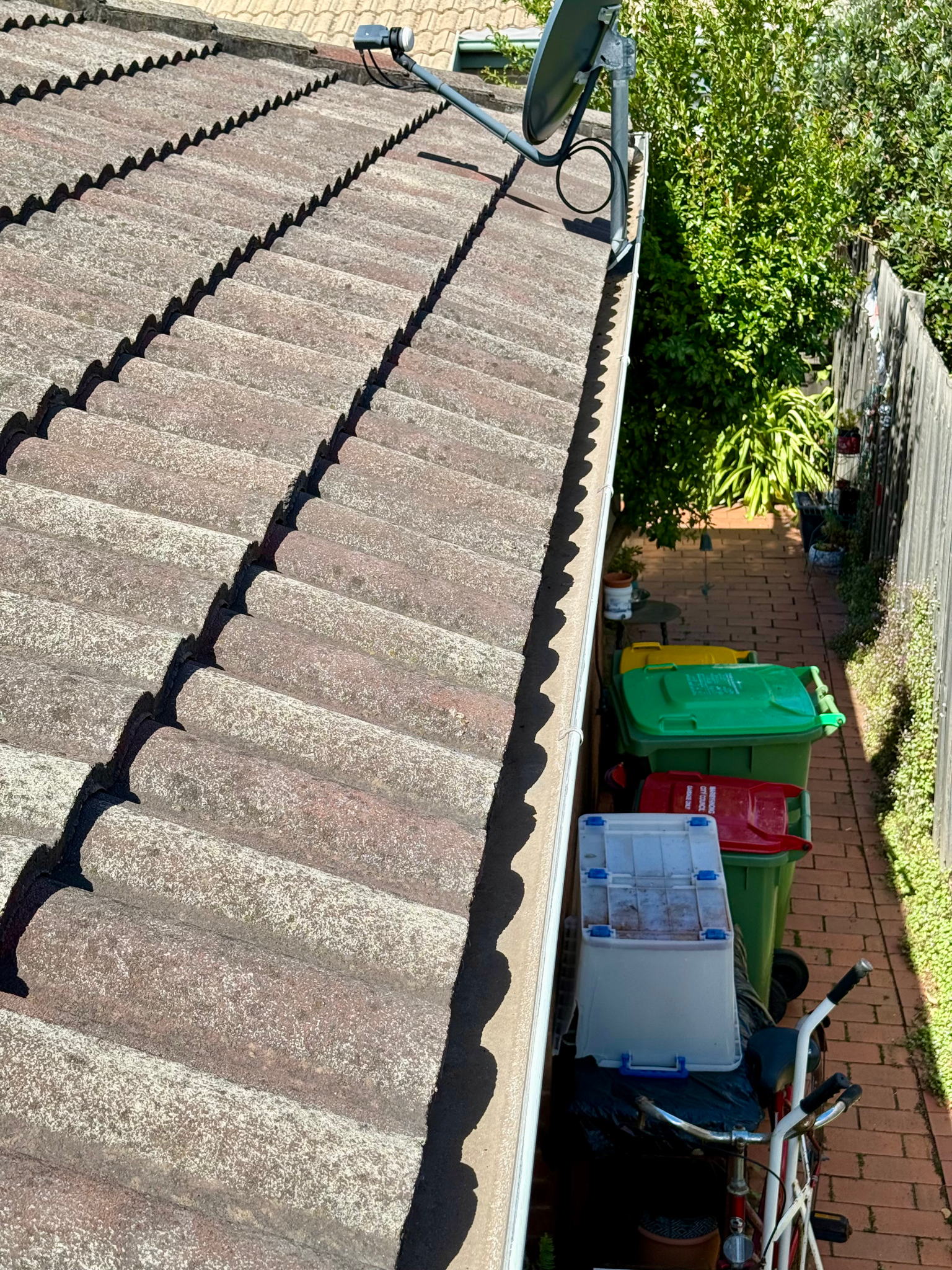Gutter Cleaning