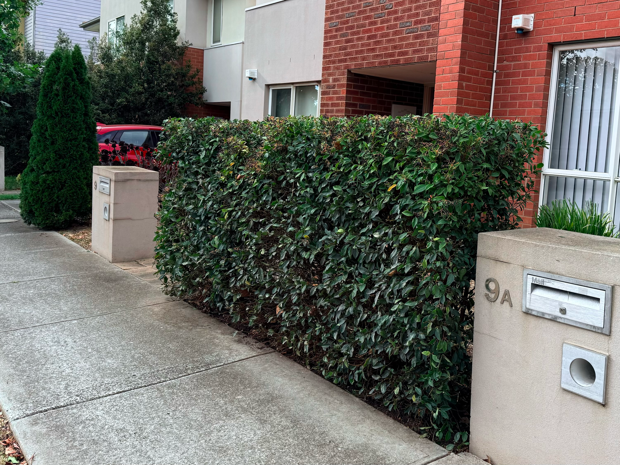Hedge Pruning