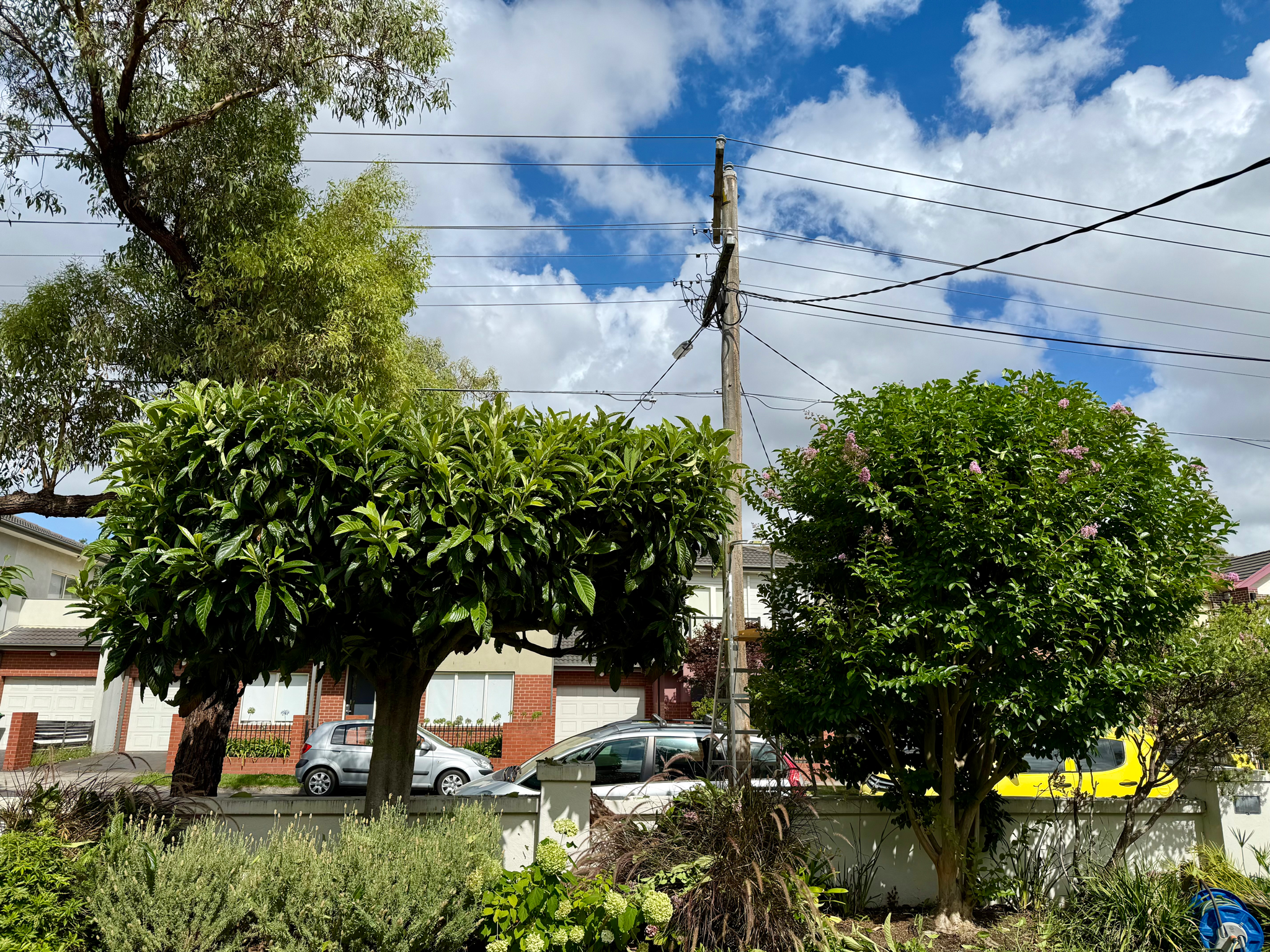 Tree Pruning