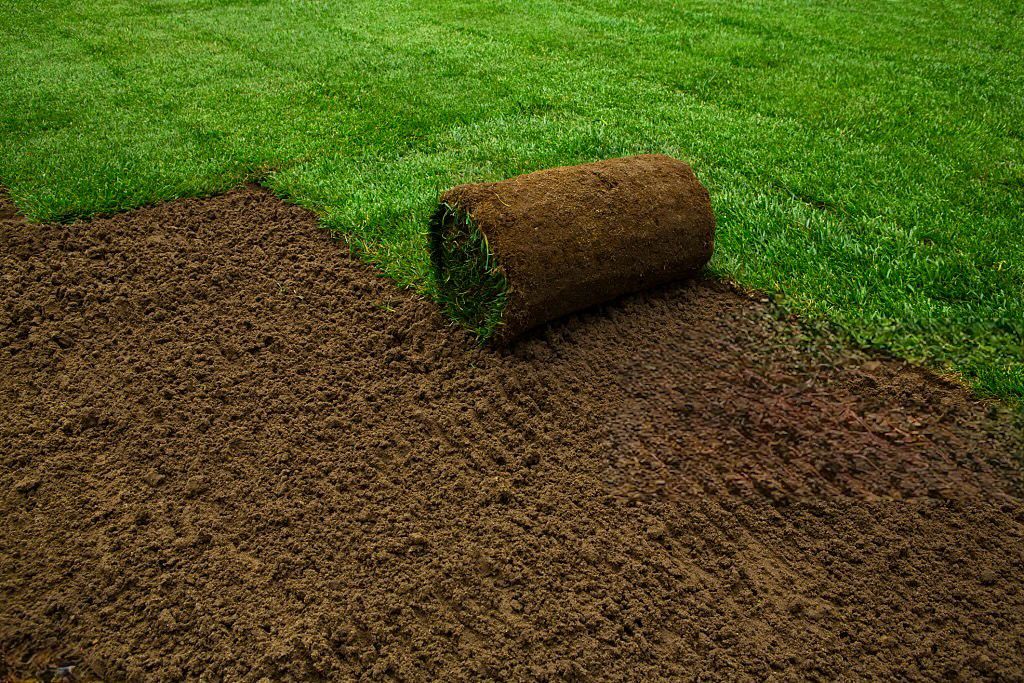Lawn and Synthetic Turf